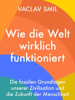 Cover of Wie die Welt wirklich funktioniert
