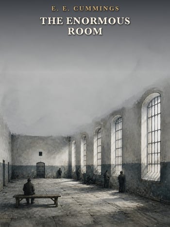 Cover of The Enormous Room