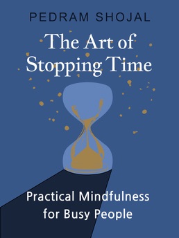 Cover of The Art of Stopping Time