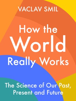 Cover of How the World Really Works
