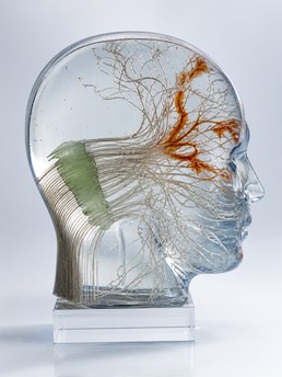 Cover of La Ciencia de Cambiar de Opinión