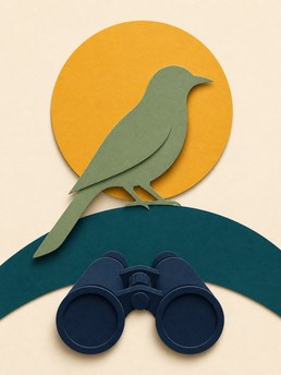 Cover of L'Observation des Oiseaux pour les Débutants : Découvrir le Monde Fascinant de la Vie Aviaire
